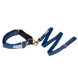 Jeans Martingale Collar with Leash  Hand Embroidery