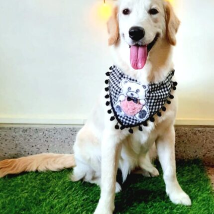 Hand Embroidered Bandana for Dog