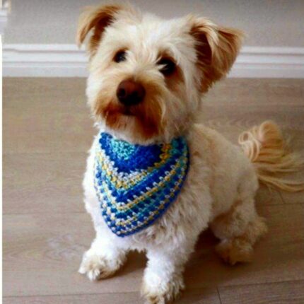 Woolen Bandana for Cat and Puppy Dog